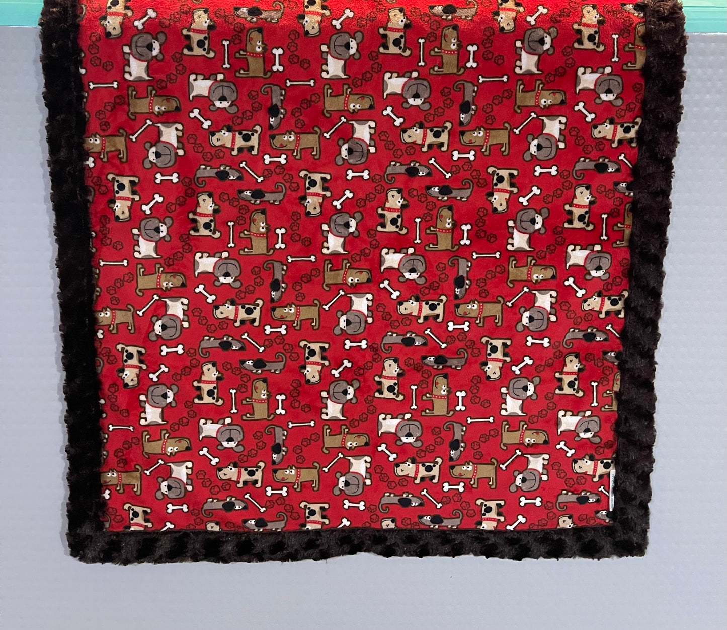 Infant Minky Blanket