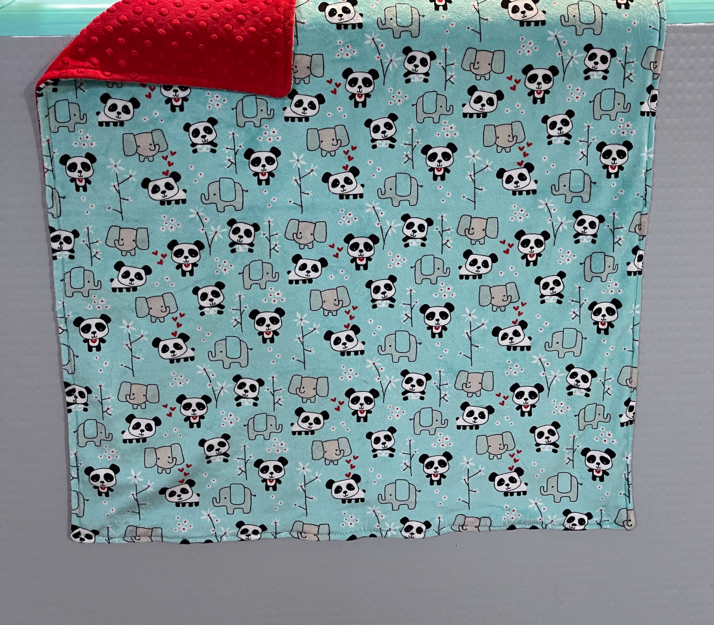 Infant Minky Blanket